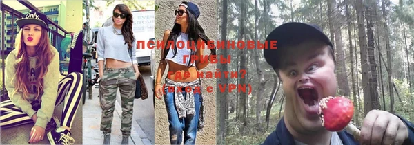 каннабис Новокубанск