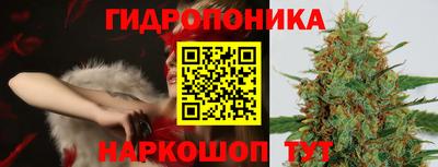 PSILOCYBIN Свободный