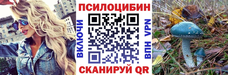цены наркотик  omg вход  Псилоцибиновые грибы мухоморы  Ржев 