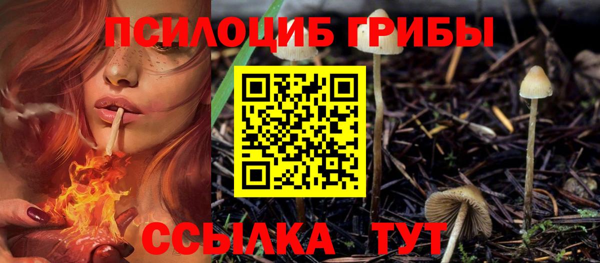 Ржев  Псилоцибиновые грибы GOLDEN TEACHER  Вход с VPN  Галлюциногенные грибы прущие грибы 